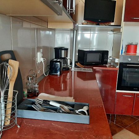 Ultracentral,Parcul Catedralei,Apartament 2 Camere Bacău Dış mekan fotoğraf