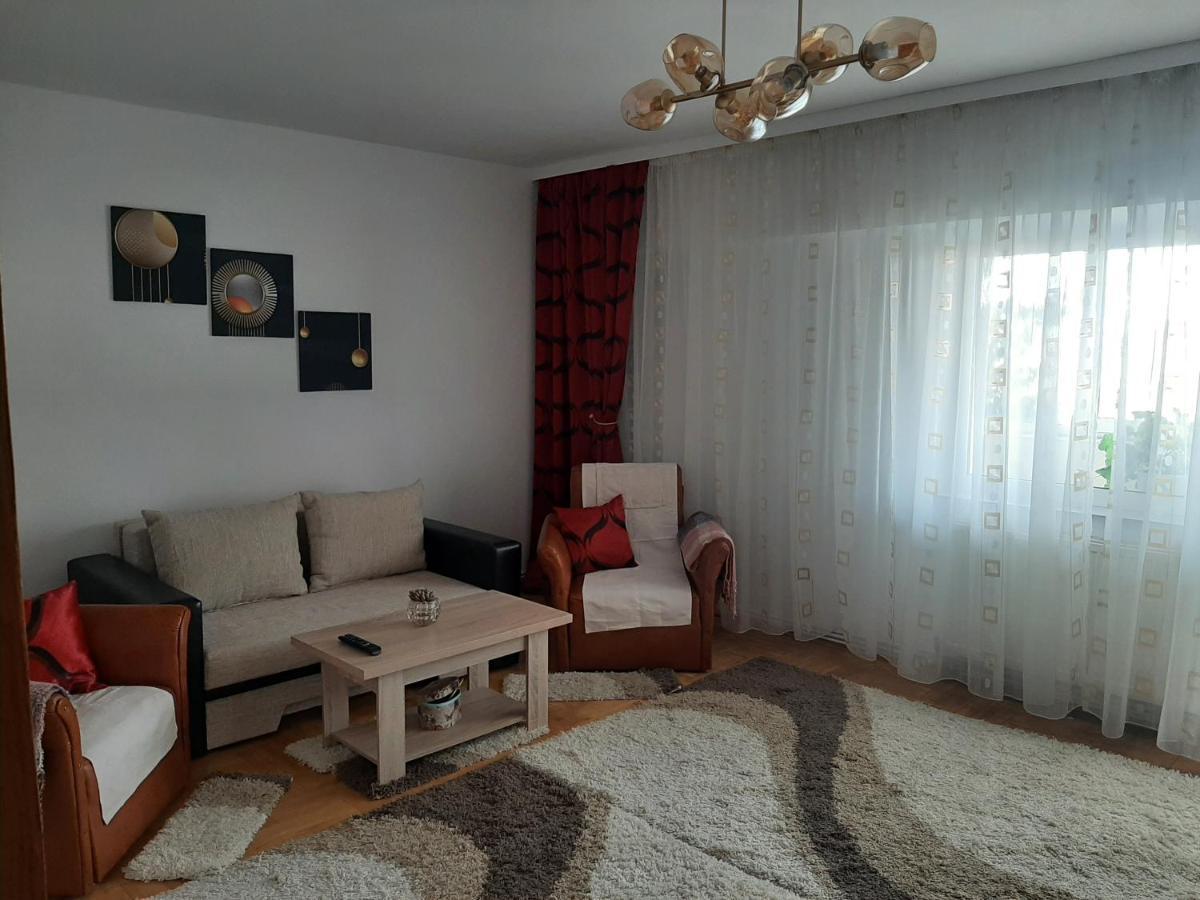 Ultracentral,Parcul Catedralei,Apartament 2 Camere Bacău Dış mekan fotoğraf