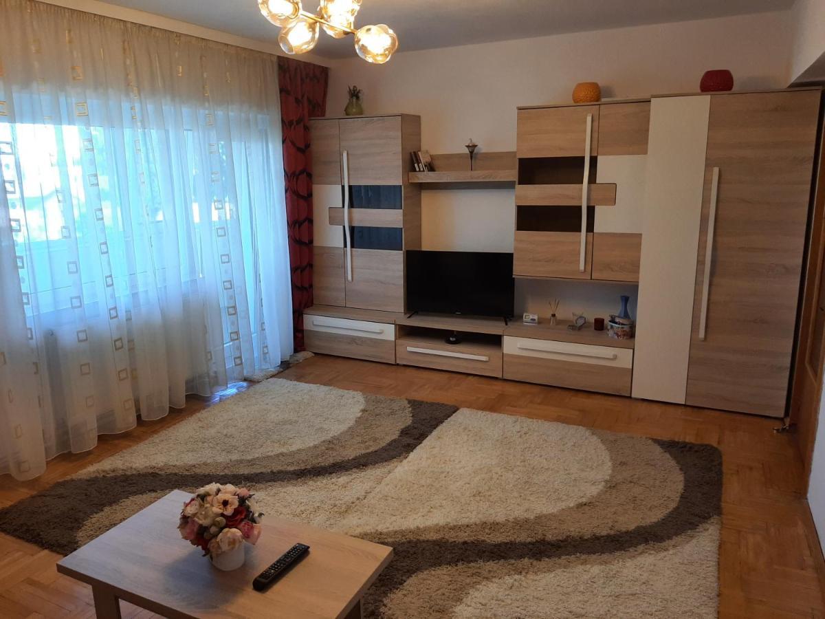 Ultracentral,Parcul Catedralei,Apartament 2 Camere Bacău Dış mekan fotoğraf